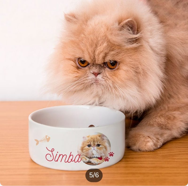 Alfombra personalizada para comedero de perro y gato - Imagen 11