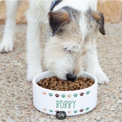 Comederos personalizados para perros y gatos