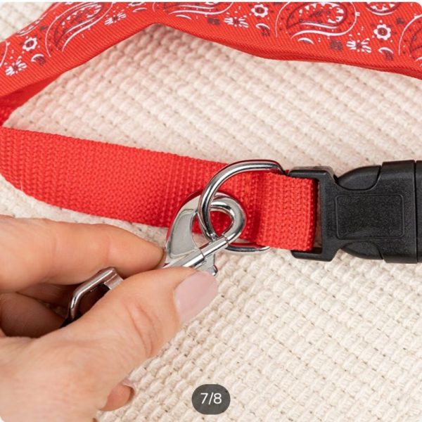 Pañuelo bandana personalizado para perro - Imagen 6