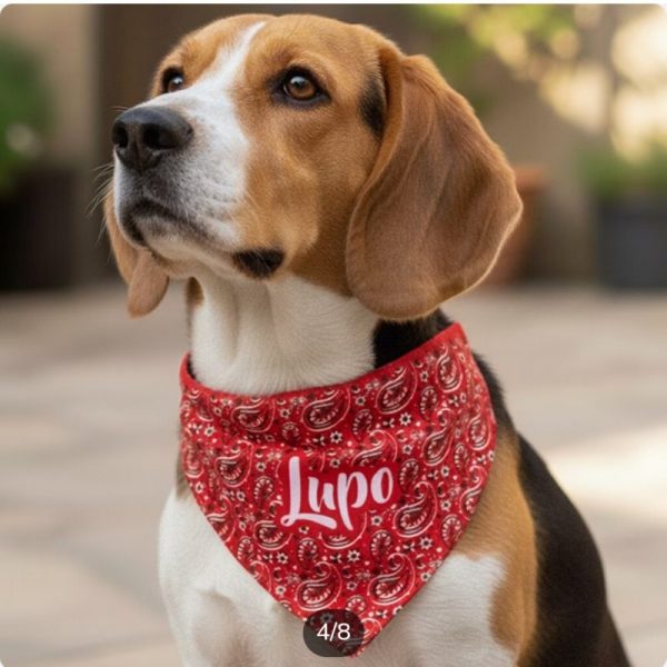 Pañuelo bandana personalizado para perro