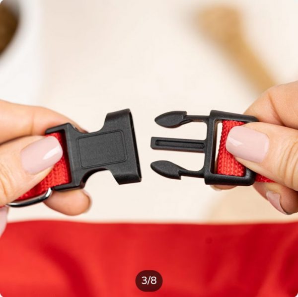 Pañuelo bandana personalizado para perro - Imagen 3