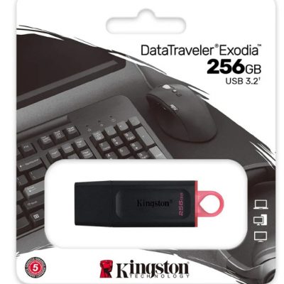 Pen Drive Kingston DataTraveler Exodia 256GB USB 3.2
